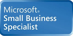 ms_small Business logo